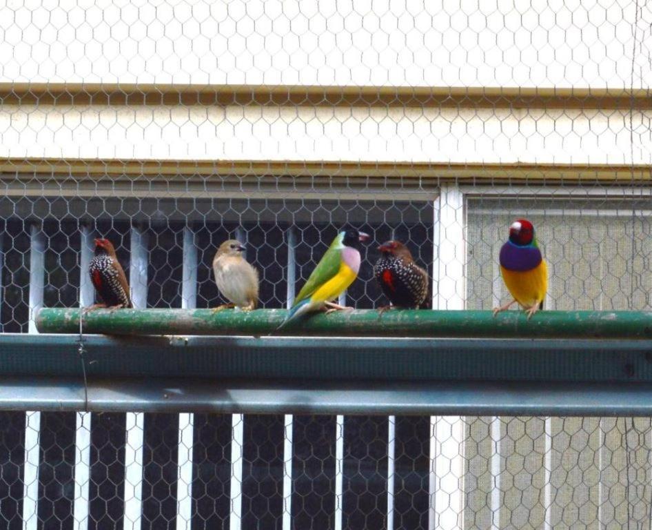 Paringa Caravan Park レンマーク エクステリア 写真